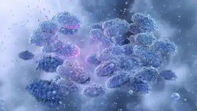 Imagem do post relacionado, leia tambem!