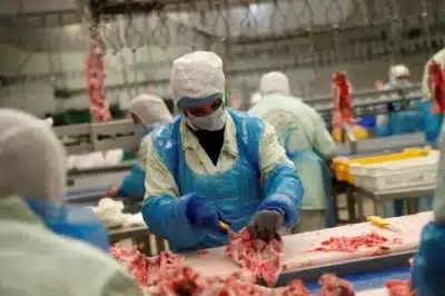 Imagem do post relacionado, leia tambem!