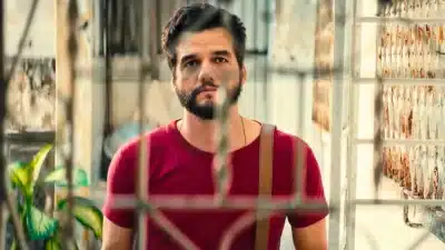 Imagem do post relacionado, leia tambem!