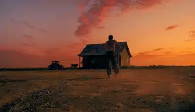 Imagem do post relacionado, leia tambem!