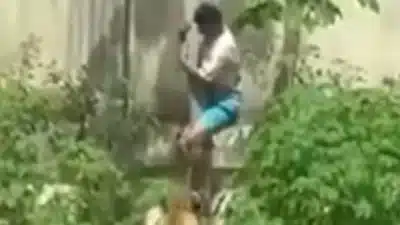 Imagem do post relacionado, leia tambem!