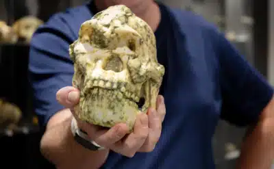 Imagem do post relacionado, leia tambem!