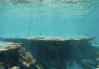 Imagem do post relacionado, leia tambem!