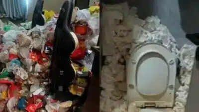 Imagem do post relacionado, leia tambem!