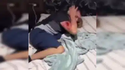 Imagem do post relacionado, leia tambem!