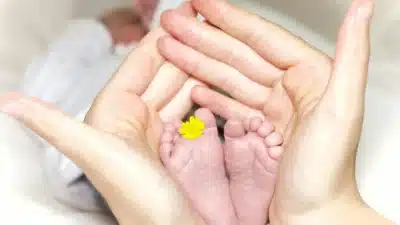 Imagem do post relacionado, leia tambem!