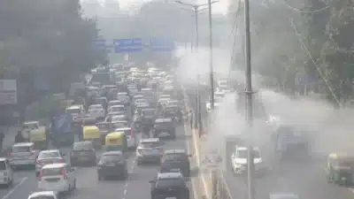 Imagem do post relacionado, leia tambem!