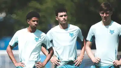 Imagem do post relacionado, leia tambem!