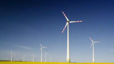 Imagem do post relacionado, leia tambem!