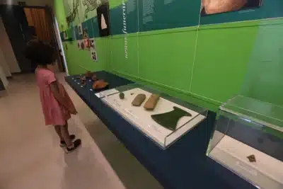 Imagem do post relacionado, leia tambem!