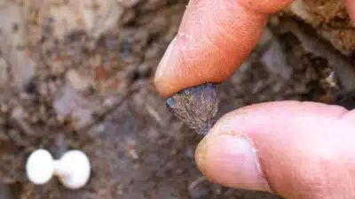 Imagem do post relacionado, leia tambem!