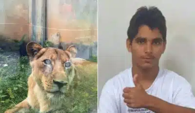 Imagem do post relacionado, leia tambem!