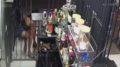 Imagem do post relacionado, leia tambem!