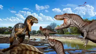 Imagem do post relacionado, leia tambem!