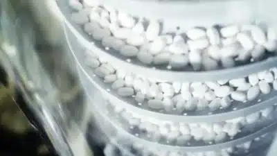 Imagem do post relacionado, leia tambem!