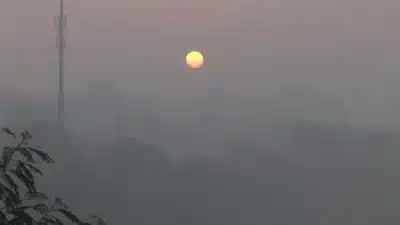 Imagem do post relacionado, leia tambem!