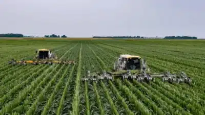 Imagem do post relacionado, leia tambem!