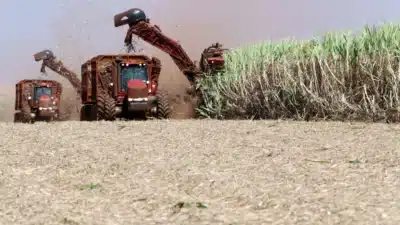 Imagem do post relacionado, leia tambem!