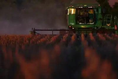 Imagem do post relacionado, leia tambem!