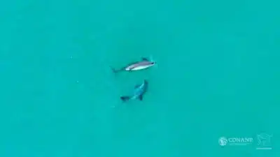 Imagem do post relacionado, leia tambem!