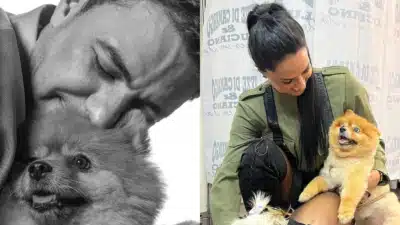 Imagem do post relacionado, leia tambem!