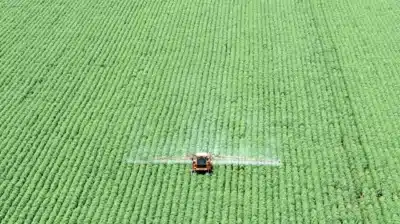 Imagem do post relacionado, leia tambem!