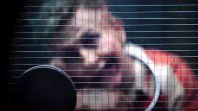 Imagem do post relacionado, leia tambem!