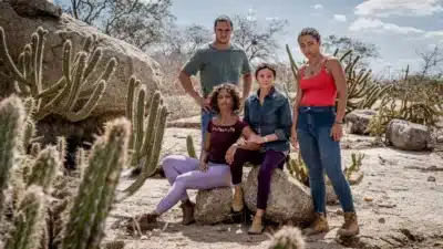 Imagem do post relacionado, leia tambem!