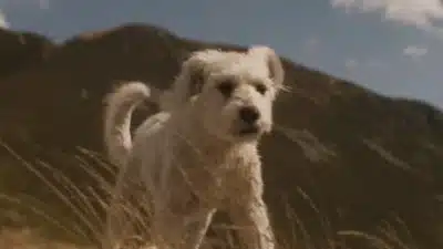 Imagem do post relacionado, leia tambem!