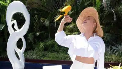 Imagem do post relacionado, leia tambem!