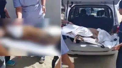 Imagem do post relacionado, leia tambem!