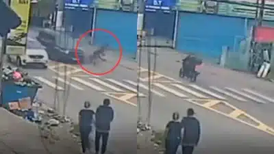 Imagem do post relacionado, leia tambem!