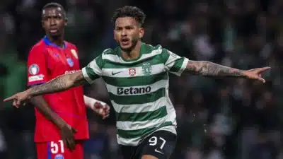 Imagem do post relacionado, leia tambem!