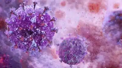 Imagem do post relacionado, leia tambem!