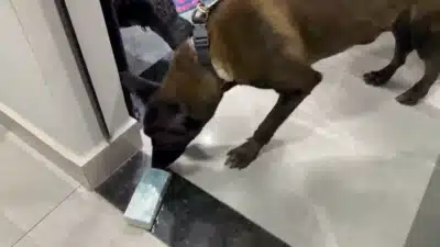 Imagem do post relacionado, leia tambem!