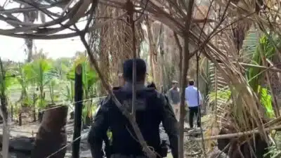 Imagem do post relacionado, leia tambem!