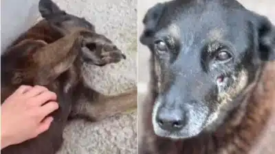 Imagem do post relacionado, leia tambem!