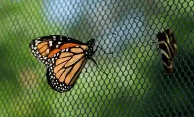 Imagem do post relacionado, leia tambem!