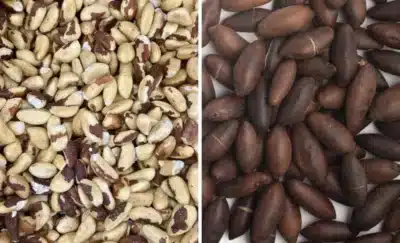 Imagem do post relacionado, leia tambem!