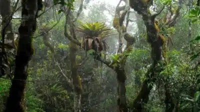 Imagem do post relacionado, leia tambem!