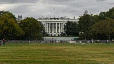 Imagem do post relacionado, leia tambem!