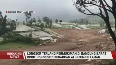 Imagem do post relacionado, leia tambem!