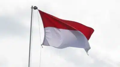 Imagem do post relacionado, leia tambem!