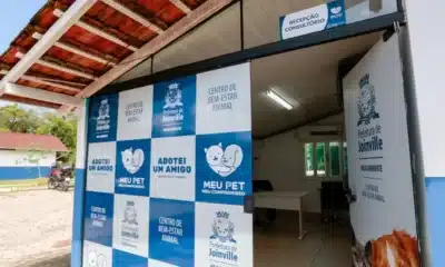 Imagem do post relacionado, leia tambem!