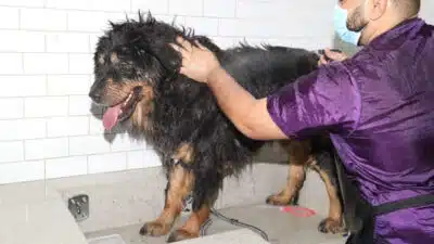 Imagem do post relacionado, leia tambem!