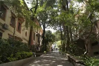 Imagem do post relacionado, leia tambem!