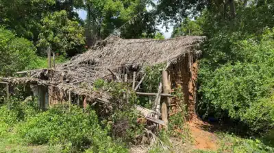 Imagem do post relacionado, leia tambem!