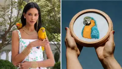 Imagem do post relacionado, leia tambem!