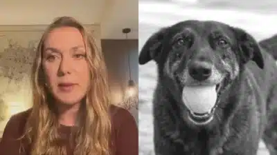 Imagem do post relacionado, leia tambem!