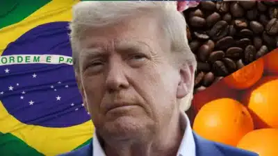 Imagem do post relacionado, leia tambem!